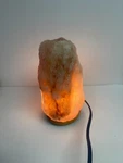 N330 -wmb International Warm White Led Himalayan Salt Lamp, Wall Plug. Fixed Price $16.00.