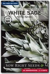 Sow Right Seeds White Sage For Planting Non-gmo Heirloom Packet With. Fixed Price $7.72.