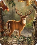 Queen Size White Tail Buck Deer Hunting Woods Hunter Faux Fur Soft Plush Blanket. Fixed Price $59.99.