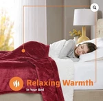 Degrees Comfort Sherpa Soft California King Electric Blanket. Fixed Price $99.00.
