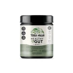 Terra Origin Healthy Gut Mint Flavor 30-SERVINGS With L-glutamine Zinc Gluco.... Fixed Price $77.90.