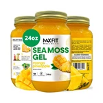 Max Fit Sea Moss Gel Raw, 24OZ, 12 Flavors, Vegan Superfood, Non-gmo. Fixed Price $84.32.