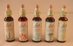 Bach Flower Remedies 20ML. All 38 From The Original Company Of Dr. Fixed Price $12.08.