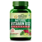 Vlado's Himalayan Organics Plant Based Vitamin B12 Supplement For & Women Fs. Fixed Price $16.99.