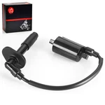 Ignition Coil & Spark Plug Cap For Kawasaki Ninja 250R EX250F 1988-07 21121-1163. Fixed Price $27.99.