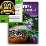 Comfrey Seeds For Planting - Symphytum Officinale Medicinal Green, Purple. Fixed Price $12.34.