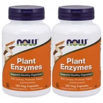 Plant Enzymes 2X120/1X240 Vcaps Now Foods Bromelain 5000 Fcc Pu/pappain/protease. Fixed Price $23.55.
