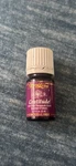 Young Living Essential Oils Gratitude 5ML. Fixed Price $17.00.