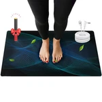 Ate Health Grounding Mat, Earth Pad With Conductivity Test Pen & 15.... Fixed Price $27.94.