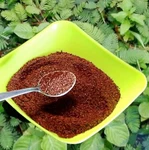 Mimosa Pudica Seed Powder Lajwanti Churn Organic Dormilones Humble Plant 4KG. Fixed Price $150.00.