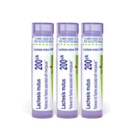 Boiron Lachesis Mutus 200CK Homeopathic Medicine For Hot Flashes Associated. Fixed Price $49.97.