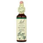 Original Flower Remedies, Walnut, 0.7 Oz (20 Ml). Fixed Price $18.11.