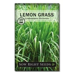 Sow Right Seeds Lemon Grass For Planting Non-gmo Heirloom 1, Green. Fixed Price $9.13.