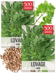 Needs Lovage Seeds For Planting Non-gmo Heirloom & 2 Packs,. Fixed Price $11.94.