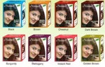2 Box Hair Henna Norani Natural Herbs 6PCS 10GM Each. Fixed Price $28.99.