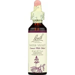 Bach Flower Remedies Water Violet Homeopathic Dropper Essence 20ML. Fixed Price $24.99.