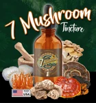 7 Mushroom Extract - Chaga Cordyceps Lions Mane Maitake Reishi Shitake Turkey. Fixed Price $11.99.