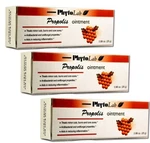 Propolis Ointment 3 Packs All Natural Bee Phytolab Made Usa. Fixed Price $24.95.
