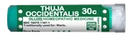 Ollois Thuja Occidentalis 30C, 80 Mini-pellets. Fixed Price $12.49.