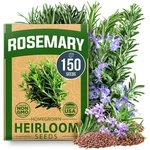Home Grown Non Gmo Rosemary Seeds 150 High Germinating 1-PACK, Brown. Fixed Price $14.22.