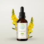 Herbera Mullein Leaf Alcohol-free Tincture, (verbascum Thapsus). Fixed Price $35.99.