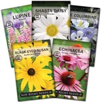 Sow Right Seeds - Perennial 5 Flower Garden Collection Packets, Mix. Fixed Price $18.99.