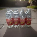Clear American Sparkling Water Peach Flavors 33.8 Oz. Fixed Price $38.98.