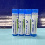 4X Causticum Boiron, 30C, Bone Pain Relief 80 Pellets Each Exp 11/29. Fixed Price $25.88.