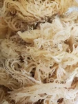 Sea Moss Irish Whole Leaf 1LB / Raw Wildcrafted -16OZ. Fixed Price $660.00.