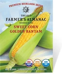 Heirloom Sweet Corn Seeds (golden Bantam) Approx 75 Non-gmo, Open Poll. Fixed Price $15.09.
