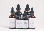 Ginkgo, Gotu Kola Organic Top Quality Pure Extract Tincture Memory 1 2 4 Oz. Fixed Price $20.89.