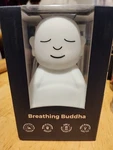 Mindsight Breathing Buddha Visual Meditation Tool Calming Color Cycles New. Fixed Price $17.87.