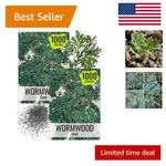 2 Pack Heirloom Wormwood Seeds Non-gmo Perennial Herb For Digestive Health. Fixed Price $13.99.