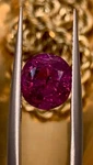 2.37CT Natural Unheated Rare Royal Sovereign Kashmir Purplish-red Ruby. Fixed Price $3800.00.