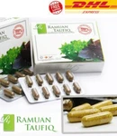 Natural Internal & External Hemorrhoid Treatment 60'S 100% Herb Free Shipping. Fixed Price $81.29.