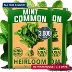 Home Grown Premium Common Mint (bulk Pack) 3,600 Heirloom Herb Seeds, Usa. Fixed Price $10.92.