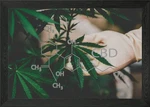 Cbd Structural Formula Framed Wall Art Poster Canvas Print Picture. Fixed Price $46.93.