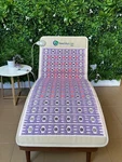 Healthyline Taj 7428 Amethyst Pemf Heating Mat With Photon Therapy. Fixed Price $885.00.
