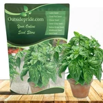 Outsidepride Genovese Sweet Basil Seeds For Planting - 1/2 Lb., White. Fixed Price $23.81.