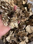 100% Organic & Raw : Canadian Dried Turkey Tail Mushrooms 200GRAM. Fixed Price $36.13.