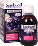 Worldwide 2 X Sambucol Black Elderberry Liquid For Kids -- 7.8 Fl Oz. Fixed Price $86.19.