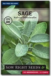 Sow Right Seeds Sage For Planting Non-gmo Heirloom Packet With Instruc. Fixed Price $7.72.