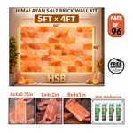Himalayan Pink Salt Wall Kit 5X4 (20 Sq Ft) Bricks Spa. Fixed Price $840.00.