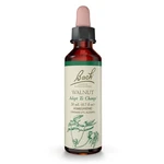 Bach Flower Remedy Adapt To Change Walnut 0.7 Oz Natural Emotional Support. Fixed Price $24.59.