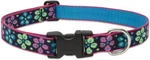 Lupine Originals "flower Power" Dog Collars & Matching Leashes. Fixed Price $15.99.