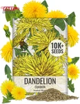 Needs Dandelion Seeds For Planting Fresh Herbs 10,000+ Untreated No. Fixed Price $13.09.
