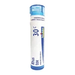 Rhus Toxicodendron 80 Count By Boiron. Fixed Price $14.25.