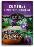 Comfrey Seeds For Planting - Symphytum Officinale Medicinal Perennial Herb. Fixed Price $10.10.