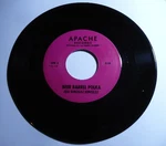 7" Jose Gonzalez Beer Barrel Polka / 8246 Apache Recor Us. Fixed Price $28.57.