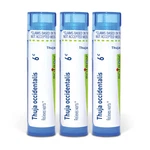 Boiron Thuja Occidentalis 6C Homeopathic Medicine For Warts - Pack Of 3 240. Fixed Price $38.84.